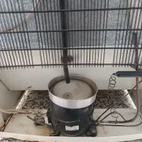 یخچال و فریزر سالم|یخچال و فریزر|گنبد کاووس, |دیوار