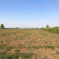 زمین-کشاورزی-574-متر-نرسیده-به-قشلاق-شمس-آباد