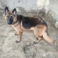 سلام وقتتون بخیر