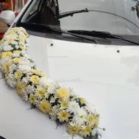 گلکده رزلند|گل و گیاه طبیعی|قائم‌شهر, |دیوار