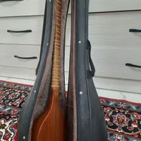 سه تار ملک شاهی با کیف