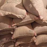 نخود دیم|عمده‌فروشی|بیلوار, |دیوار