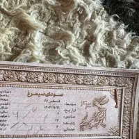 ۵ عدد بلیط جشنواره سینما فلسطین ۲۱ بهمن