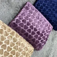 پتومسافرتی دونفره وتکی وعمده تکی