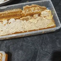 عسل بهاره و طبیعی