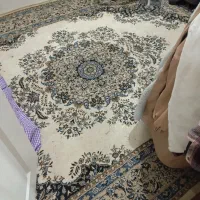 فرش و موکت|فرش|تبریز, |دیوار