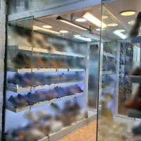 ویترین کمد دار، کتابخانه، قفسه دکور|کتابخانه، شلف، قفسههای دیواری|قوچان, |دیوار