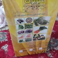 سبزی خردکن 3 کیلو نو