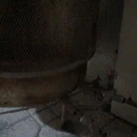 تنور|اجاق گاز و لوازم برقی پخت‌وپز|میناب, |دیوار