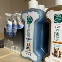 ملزومات حیوانات خانگی ، غذای گربه و‌سگ|لوازم جانبی حیوانات|شیراز, باغ تخت|دیوار