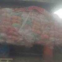 فروش کولش و سوپ گاو