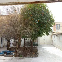 خوابگاه پسرانه تازه تاسیس|اجارهٔ کوتاه‌مدت آپارتمان و سوئیت|شیراز, تحویلی|دیوار