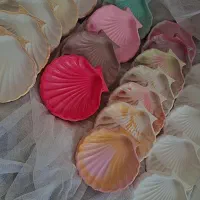 ظرف صدفی