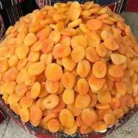 فروش قیصی درجه یک به صورت کیلویی و فله