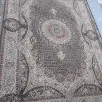 فرش ۶ متری|فرش|کوهدشت, |دیوار