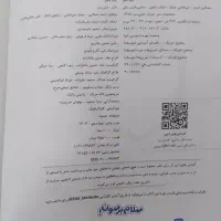 کتاب نردبام فیزیک رشته ریاضی دهم . یازدهم  دوازدهم|کتاب و مجله آموزشی|مشهد, شهید بصیر|دیوار