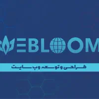 طراحی سایت، وردپرس