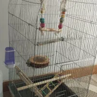 قفس کاسکویی|لوازم جانبی حیوانات|سبزوار, توحیدشهر|دیوار