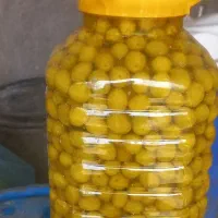 پخش عمده زیتون