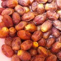 خرما و قصب درجه ۱