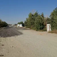 باغچه-فیروز-بهرام-شهاب