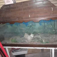 آکواریوم با تمام وسایل