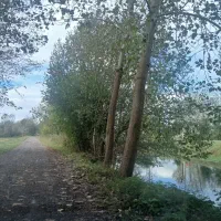 ۱هکتار شالیزارسنددار بررودخانه سنگررشت