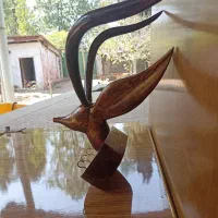 جاکلیدی(غزال چوبی)