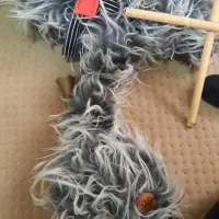 عروسک|اسباببازی بچه|کیش, |دیوار