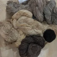 رشته فالی