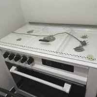 فرگاز