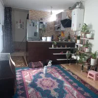 اجاره آپارتمان ۵۰ متری ۱ خوابه طبقه ۱ در گردخون|اجارهٔ آپارتمان|شیراز, قلعه نو|دیوار