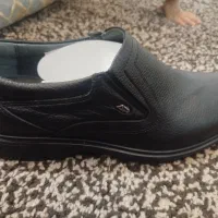 کفش جدید|کیف، کفش، کمربند|شوش, |دیوار