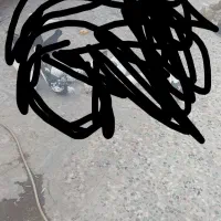 کله ماستی گمشده