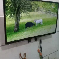 تلویزیون ال ای دی درحدنو