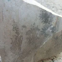 سنگ شجر تراش نخورده