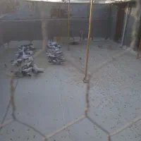 فروش فوری کبوتر تهرانی به صورت تکی و عمده|پرنده|نهاوند, |دیوار