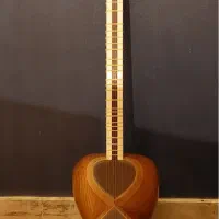 تار حرفه ای سیامک میرزاپور