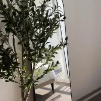 آینه گنبدی ارسال رایگان|آینه|یاسوج, |دیوار