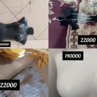 رگال و چوب لباسی