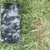 اپل iPhone 16 Pro Max با حافظهٔ ۱ ترابایت|موبایل|یاسوج, |دیوار
