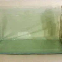 فروش آکواریوم|ماهی|فردوس (خراسان), |دیوار