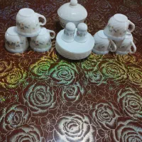 ظروف پذیرایی