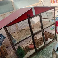 قفس جفت خانه ای سقف دار مجهز دوطبقه
