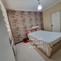 خ ۱۶ متری دوم خ الیاسی،۵۶متر ،اخ مسکن  امیری|فروش آپارتمان|تهران, کرمان|دیوار