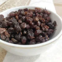 کشمش تاکستان