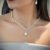 سرویس مجلسی