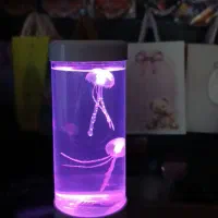 شبخواب عروس دریایی