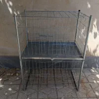 قفس جفت کن کبوتر