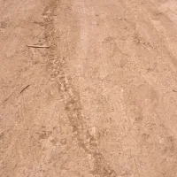 فروش زمین ۱۴۶ متری سند ۶دانگ بر خیابان اصلی
